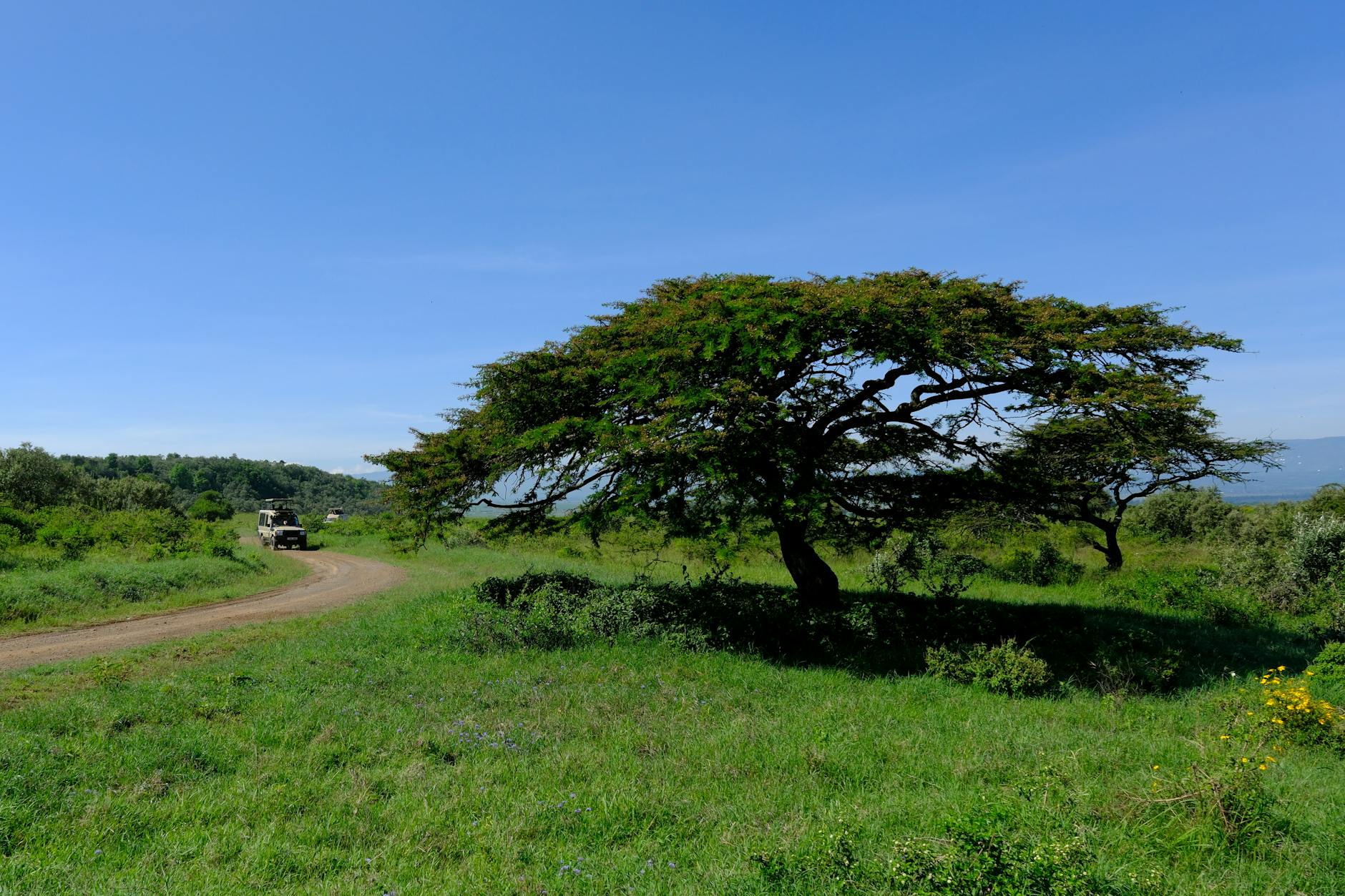 Tempat Wisata di Kenya